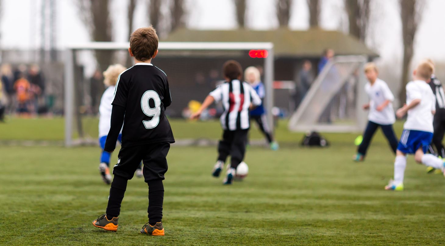 Football training on artificial turf pitch (Adobe Stock)